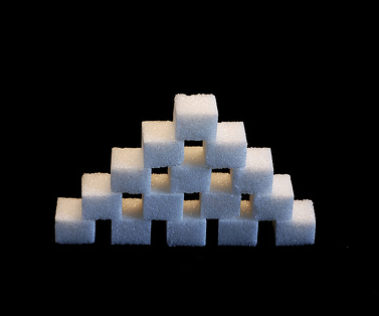 Fette, Kohlenhydrate, Alkohol und Diesel